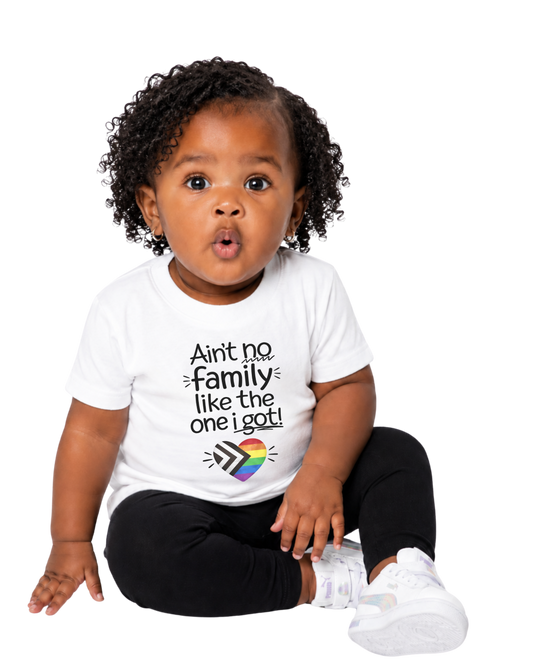 “Ain’t No Family Like The One I Got” Baby Jersey T-Shirt